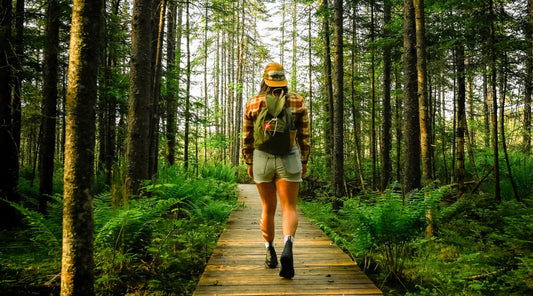 person walking in the forest on a boardwalk